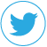 Twitter Icon